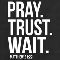 Pray Trust Wait Matthew 21:22 Scripture Christian Gift 7 Panel Mesh Trucker Snapback Hat