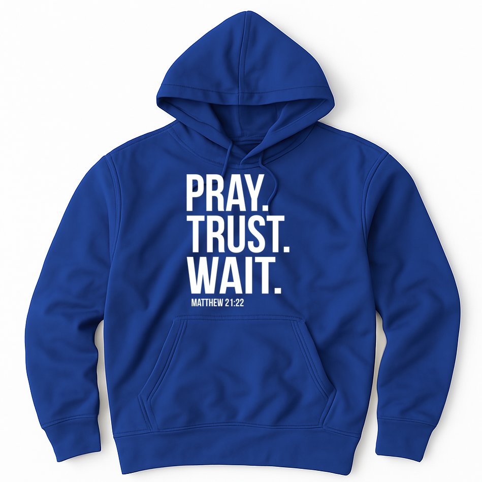 Pray Trust Wait Matthew 21:22 Scripture Christian Gift Hoodie