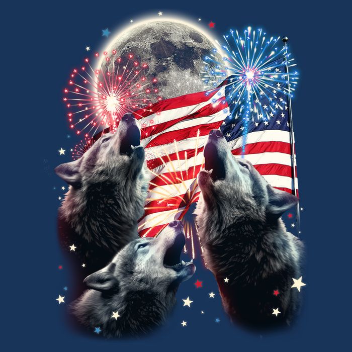 Patriotic Usa American Flag Three Wolves Moon Cooling Performance Crew T-Shirt