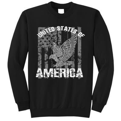 Patriotic USA Eagle Vintage Citizenship Hoodie America Flag Sweatshirt