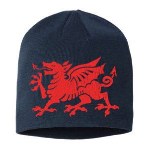 Proud Uk England Roots Team Gift Sustainable Beanie