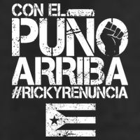Puerto Rico  PUNO ARRIBA Adult Drive Performance Visor