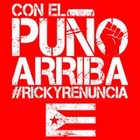 Puerto Rico  PUNO ARRIBA 16 in Basic Backpack