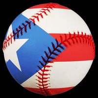 Puerto Rico Baseball 16 in Basic Backpack