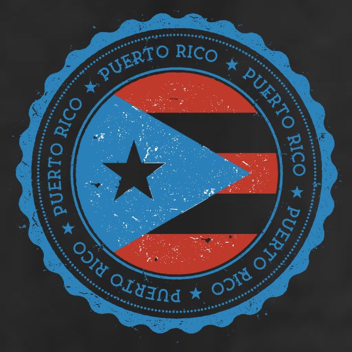 Puerto Rico Seal Beanie