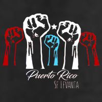 Puerto Rico Will Rise Adult Drive Performance Visor