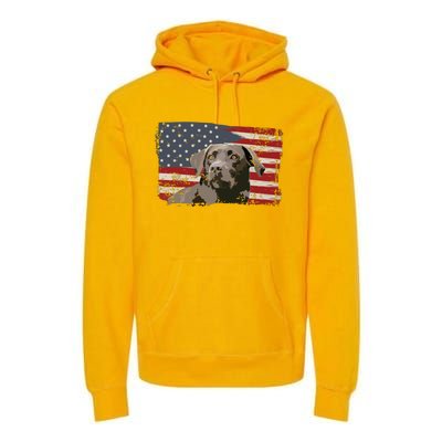 Patriotic USA Flag Black Labrador Gift For Lab Owners Premium Hoodie