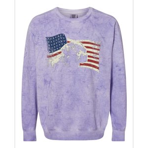 Patriotic USA Flag Black Labrador gift for Lab Owners Colorblast Crewneck Sweatshirt