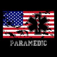 Paramedic Usa Flag Cooling Performance Crew T-Shirt