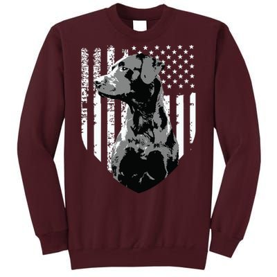 Patriotic USA Flag Black Labrador Gift For Lab Owners Tall Sweatshirt