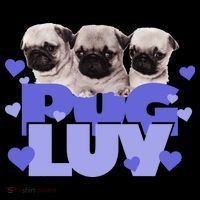 Pug Luv Impact Tech Backpack