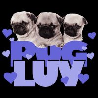 Pug Luv Drawstring Bag