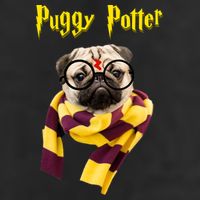 Puggy Potter Funny Parody Movie Adult Drive Performance Visor