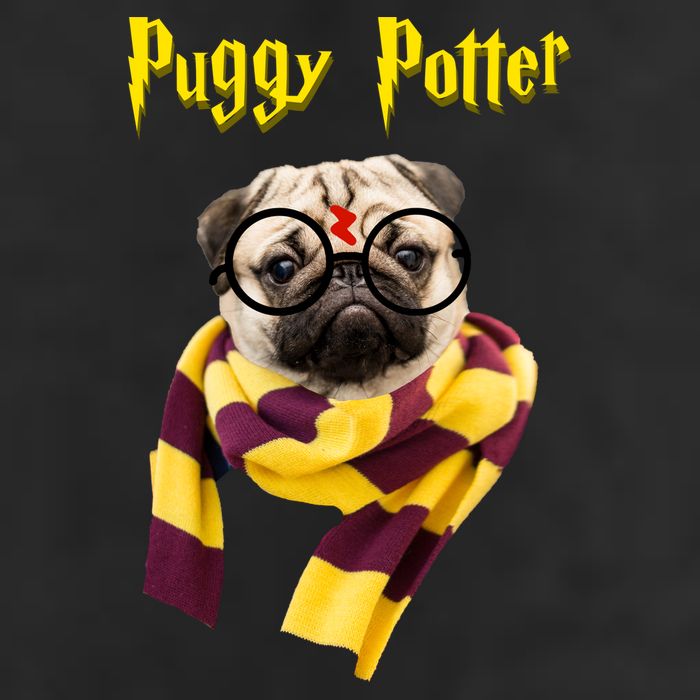 Puggy Potter Funny Parody Movie Adult Drive Performance Visor