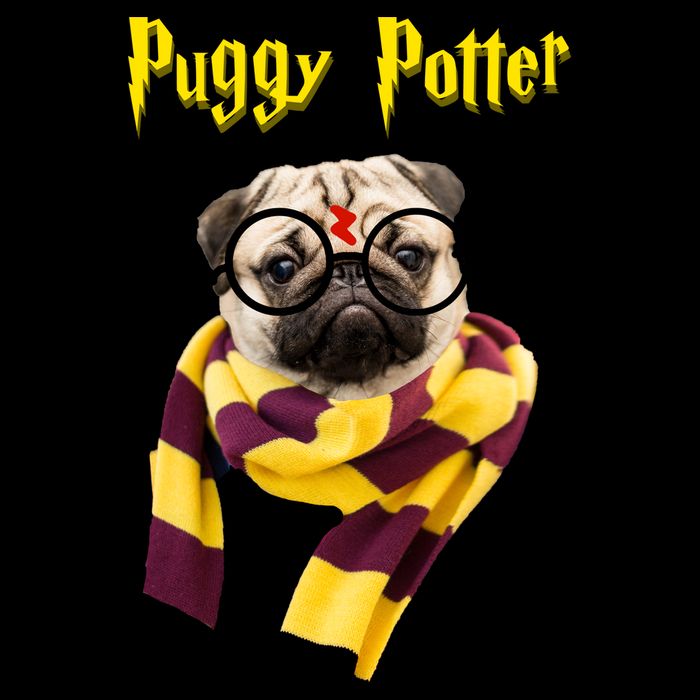 Puggy Potter Funny Parody Movie 16 in Basic Backpack
