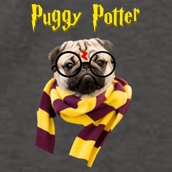 Puggy Potter Funny Parody Movie Vector Backpack