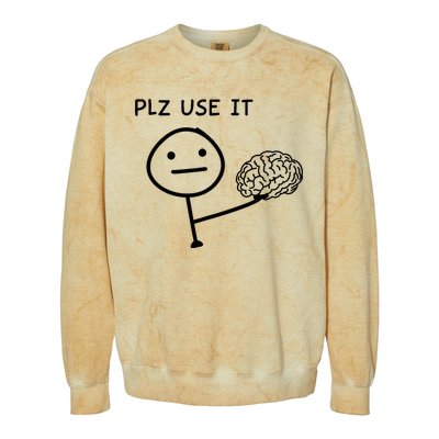 Plz Use It X Use Your Brain. Funny Stupid Saying Colorblast Crewneck Sweatshirt