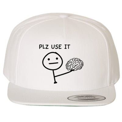 Plz Use It X Use Your Brain. Funny Stupid Saying Wool Snapback Cap