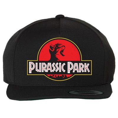 Purassic Park Cat Wool Snapback Cap