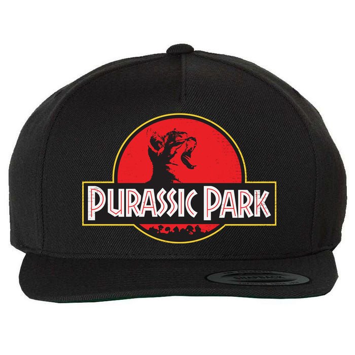 Purassic Park Cat Wool Snapback Cap