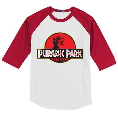 Purassic Park Cat Kids Colorblock Raglan Jersey