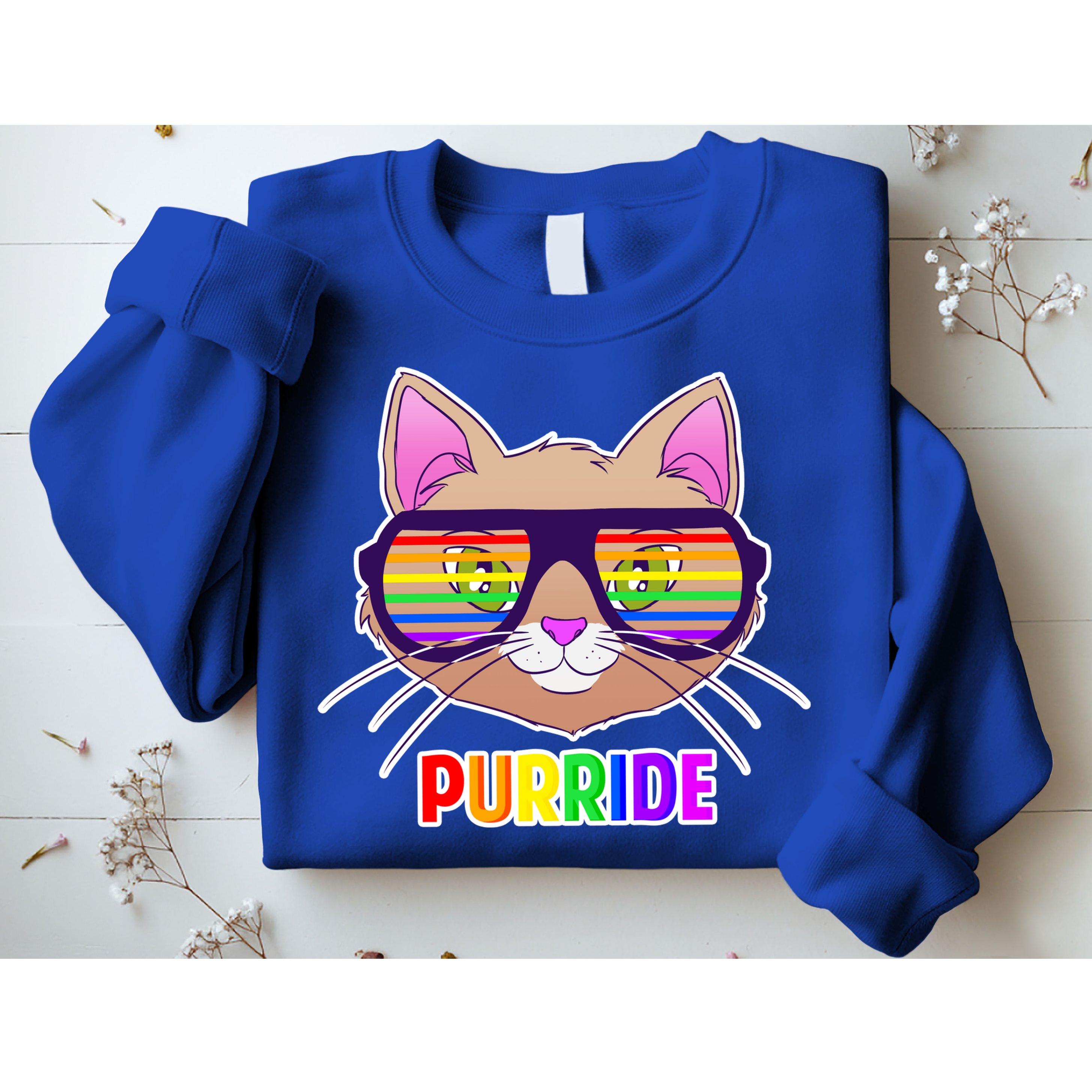 Purride Gay Pride Cat Sweatshirt