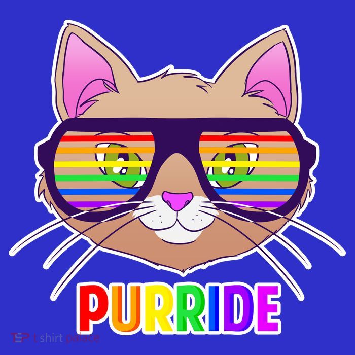 Purride Gay Pride Cat Kids T-Shirt