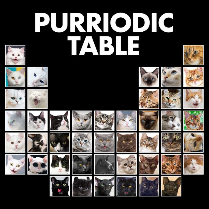Purriodic Table Of Cats Periodic Flexfit Unipanel Trucker Cap