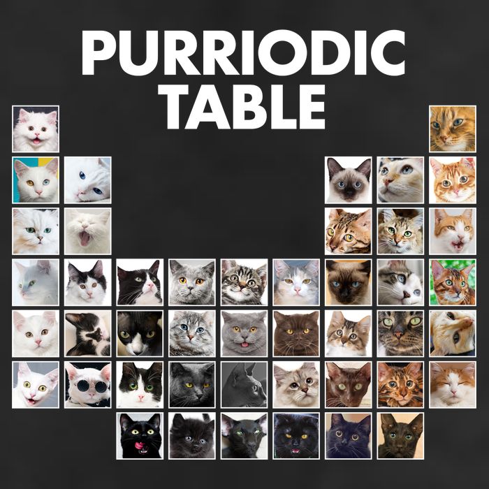 Purriodic Table Of Cats Periodic 12oz Stainless Steel Coffee Mug
