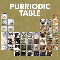 Purriodic Table Of Cats Periodic Garment-Dyed Women's Muscle Tee