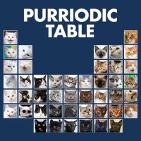 Purriodic Table Of Cats Periodic 16 in Basic Backpack