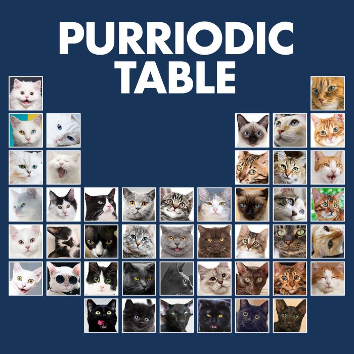 Purriodic Table Of Cats Periodic 16 in Basic Backpack