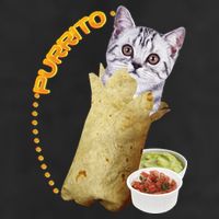 Purrito Cat In A Burrito 7 Panel Mesh Trucker Snapback Hat