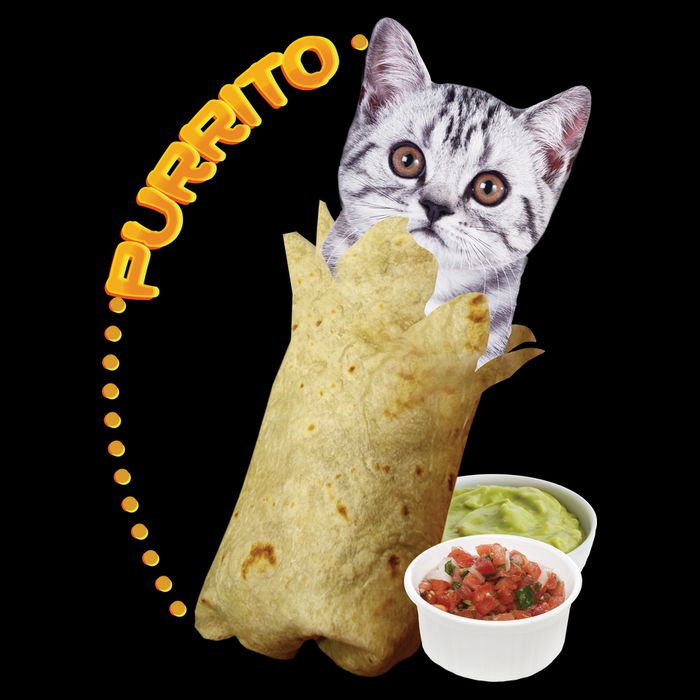 Purrito Cat In A Burrito Apron