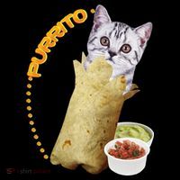 Purrito Cat In A Burrito Tall T-Shirt
