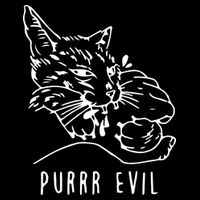 Purrr Evil Funny Cat Hoodie