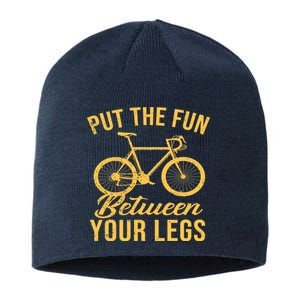 Put The Fun Between Your Legs Sustainable Beanie