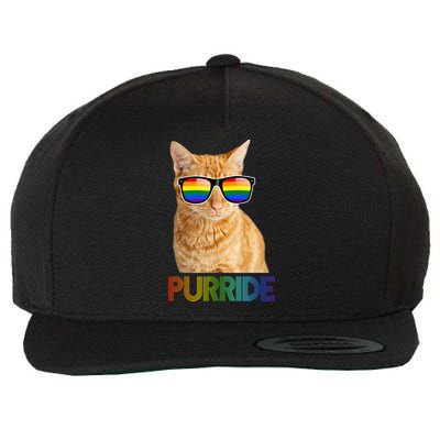 Puuride Gay Pride LGBT Cat Wool Snapback Cap