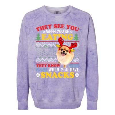 Pomeranian Ugly Xmas Funny Gift They See You're Eating Funny Gift Colorblast Crewneck Sweatshirt