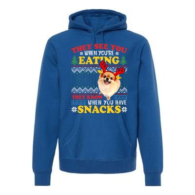 Pomeranian Ugly Xmas Funny Gift They See You're Eating Funny Gift Premium Hoodie