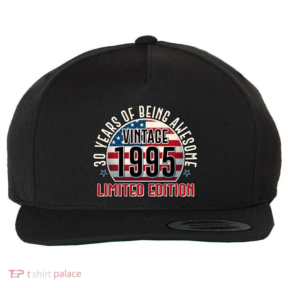 Patriotic Vintage 1995 Limited Edition 30 Years Of Being Awesome Wool Snapback Cap