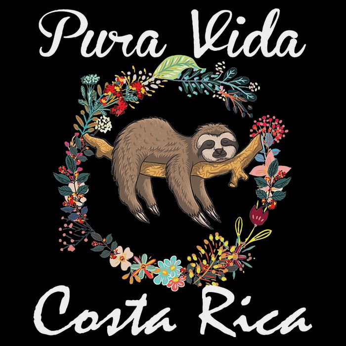 Pura Vida Costa Rica Floral Cute Sleepy Sloth Funny Gift V-Neck T-Shirt
