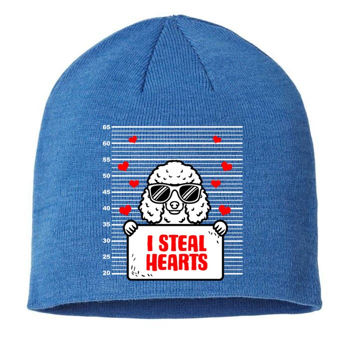 Poodle Valentine's Dog Lover Hearts Valentines Day Caniche Cute Gift Sustainable Beanie