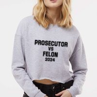Prosecutor Vs Felon 2024 Politcal Cropped Pullover Crew