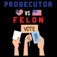Prosecutor Vs Felon Vote 16 in Basic Backpack