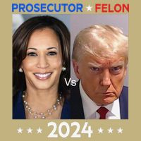 Prosecutor Vs Felon 2024 Sweat T-Shirt