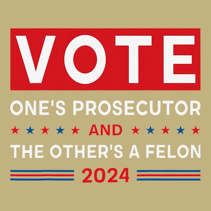 Prosecutor Vs Felon Funny Meme Political Vote Election 2024 T-Shirt