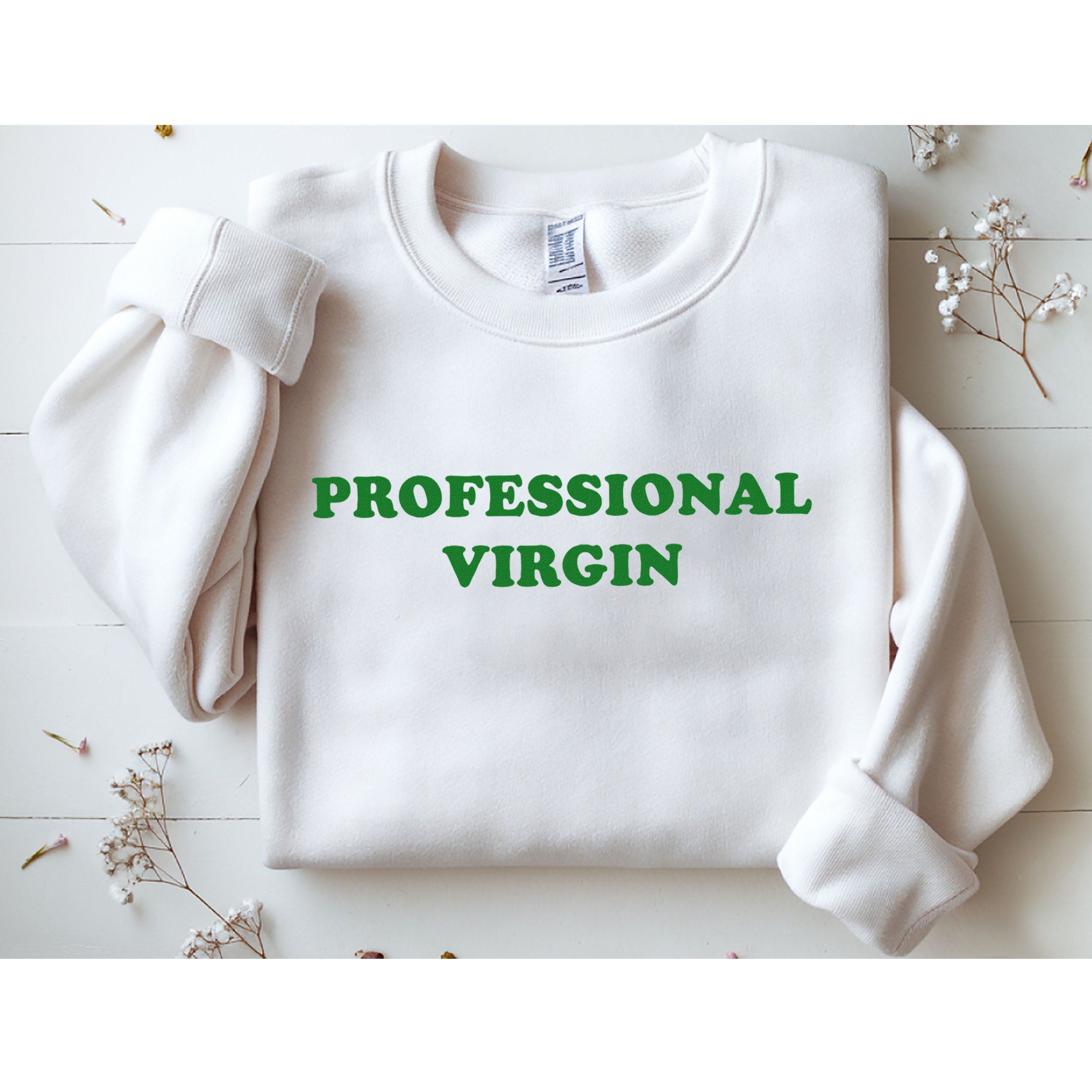 Professional Virgin Funny Quote Professional Virgin Sweatshirt
