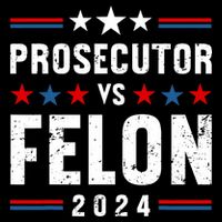Prosecutor Vs Felon 2024 Funny Voting Election 2024 Usa T-Shirt