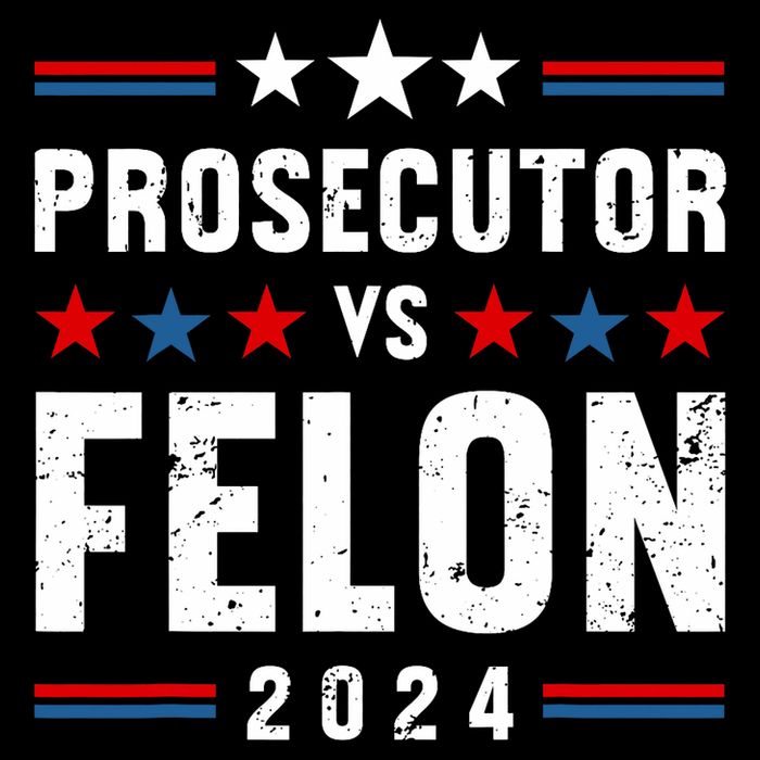 Prosecutor Vs Felon 2024 Funny Voting Election 2024 Usa T-Shirt